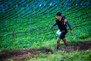 BIB: 
                            <button type="button" onclick="openModal(19160071)" class="btn btn-primary btn-sm float-right btn-popup" data-toggle="modal" data-target=".modal-high-quality">
                        <i class="fas fa-shopping-cart"></i> Add to Cart
                    </button>
                                            <button type="button" onclick="isThisMe(19160071, true)" class="btn btn-success btn-sm float-right btn-popup btn-isme hidden" data-toggle="tooltip" data-placement="bottom" title="นี่คือรูปของคุณใช่ไหม คลิกที่นี่เพื่อเอาเข้าอัลบั้ม">
                        <i class="fas fa-plus"></i> Add to album
                    </button>
                    <button type="button" onclick="isThisMe(19160071, false)" class="btn btn-warning btn-sm float-right btn-popup btn-isnotme hidden">
                        <i class="fas fa-ban"></i> Remove from album
                    </button>